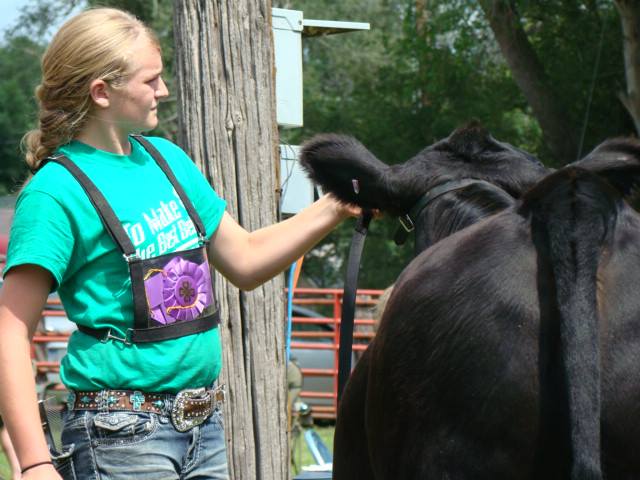 Sawyer_County_Fair.jpg