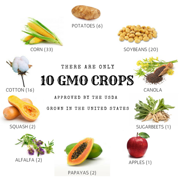 Ag United Farmer S Daughter Blog Post Gmo S From A Farmer S Daughter Point Of View