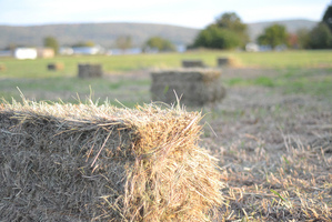 Square_Bales.jpg