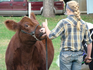 Sawyer_County_Fair.jpg