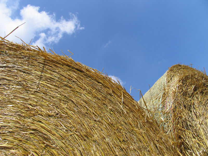 Haybales_-_Stock.jpg