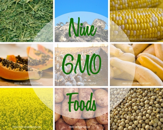9_GMO_foods.jpg