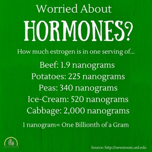 There_are_1.9_nonograms_of_estrogen_in_a_3_oz._serving_of_beef_compared_to_2000_nonograms_of_estrogen_in_a_single_serving_of_cabbage_copy.jpg