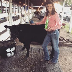 Senior Year 4-H calf.JPG