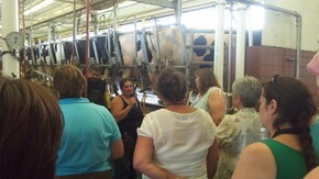 Lynn Boadwine Dairy Farm -Baltic, SD