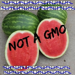 NOT_A_GMO.jpg