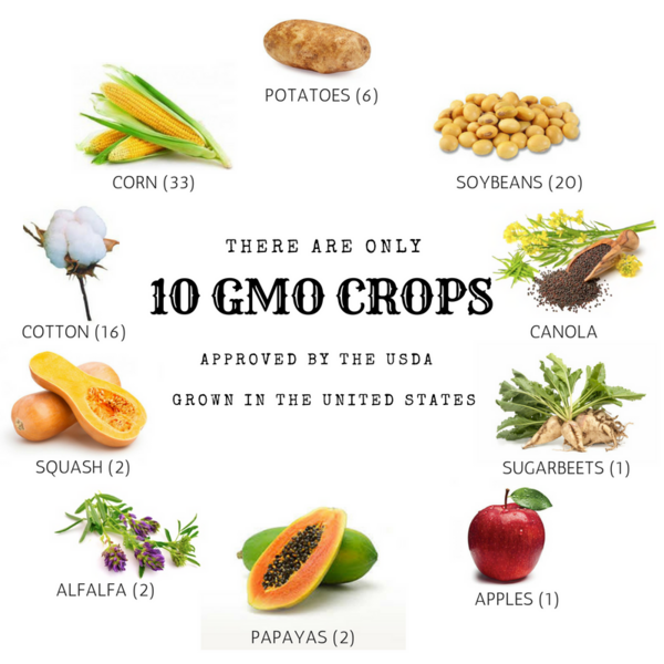 GMO CROPS.png