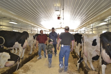 Visitors exploring the dairy barn at the Norling Dairy Open House