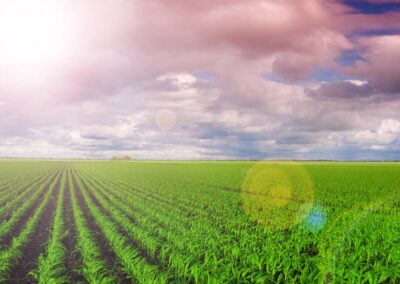 Harvest Math: Why Farmers Feel the Fall Pressure
