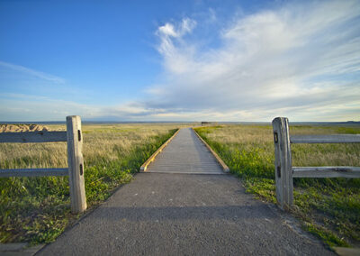 Sharing the Road During Harvest: A Little Patience Goes a Long Way