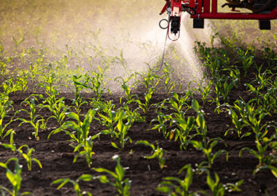 How Pesticides Fit into Responsible Crop Protection