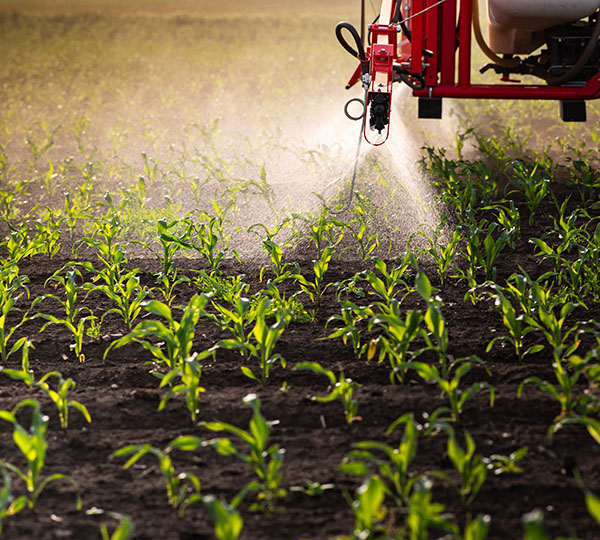 How Pesticides Fit into Responsible Crop Protection